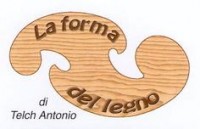 La forma del legno di Telch Antonio