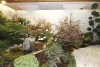 Il Padiglione giapponese con le opere della Task e Kasd di Kyoto e il giardino giapponese con la casa da tè