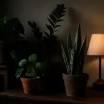 Piante d’appartamento che vivono con poca luce: soluzioni verdi per ambienti bui e stanze senza finestre