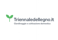 Triennaledellegno.it